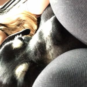 Meet your Posher, Avery